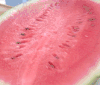 美食 西瓜