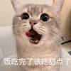 萌宠 喵星人 饭吃完了 该吃甜点了 呆萌 可爱