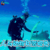 李光洁 鲨鱼 公益广告 人与动物和谐相处 soogif soogif出品