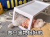 萌宠 猫星人 做只废物挺好的 开心 呆萌 可爱