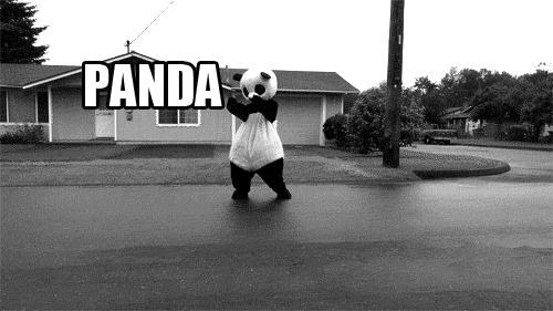 人偶 熊猫 车祸 panda