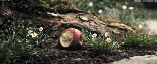 死亡 复古的 酿造的 苹果 迪士尼 白雪公主 上传  间隔拍摄 克里斯汀的管家 衰退 腐烂的 白雪公主与猎人