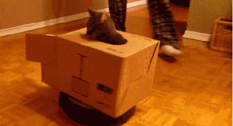 猫咪 装甲车 搞笑 纸箱