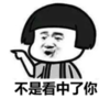 暴漫 文字表情包 不是看中了你 搞笑 魔性 逗