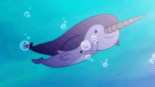 海豚 水泡 蓝色 抚摸