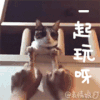 一起玩呀 来呀 来玩呀 玩耍