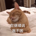 萌宠 猫咪 猫 喵星人 睡觉 你继续说我不困 拒绝