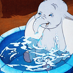 大象 洗澡 玩水 甩