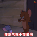 猫和老鼠 你想气死小可爱吗 生气 卖萌 soogif soogif出品