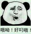 金馆长 搞笑 逗比 好叼哦