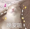 萌宠 猫星人 晚安啦 睡觉 搞怪 逗