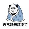 金馆长 熊猫 被子 天气越来越冷了