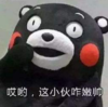 可爱 父亲节 熊本熊 文字表情包 萌
