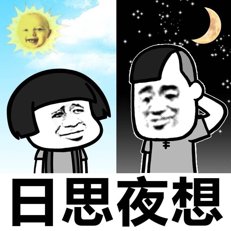 金馆长 太阳 摸头 日思夜想