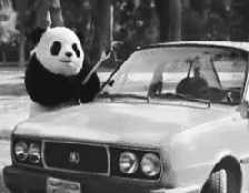 熊猫 汽车 玻璃 破坏
