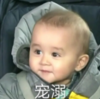 本特利 萌娃 宠溺 搞笑 逗 沙雕