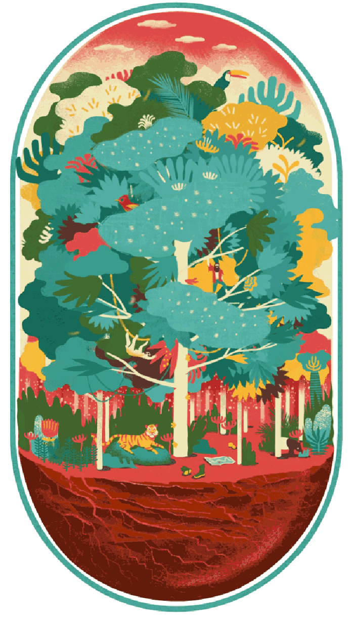 森林 色彩斑斓 惊艳 艺术