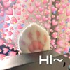萌宠 猫星人 hi 打招呼 呆萌 可爱