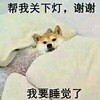 关灯 搞笑 斗图 滑稽