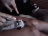 小猫 可爱 调皮 玩耍