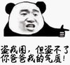 熊猫头 文字表情包 盗我图但盗不了你爸爸我的气质 搞怪 逗 沙雕