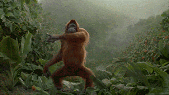 大猩猩 暴力 跳舞 可爱