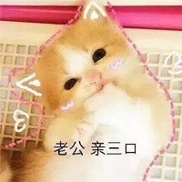 萌宠 猫咪 猫 撒娇 撒娇猫咪 老公 亲三口