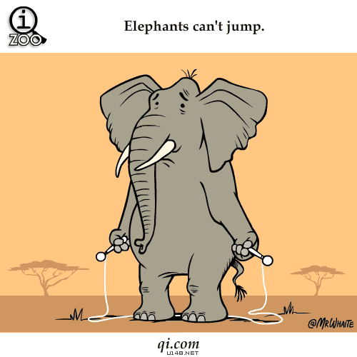 大象 可爱 动漫 跳绳