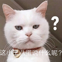 萌宠 猫咪 猫 喵星人 这小王八蛋说什么呢 蒙圈 王八蛋 斗图