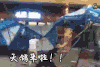 天鸽来啦 天鸽 台风 狂风
