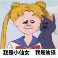 美少女战士 我是小仙女 我是仙猫 斗图 搞笑