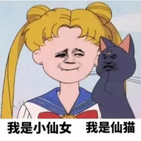 美少女战士 我是小仙女 我是仙猫 斗图 搞笑