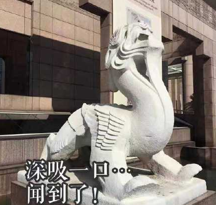 石雕 搞笑 逗 蠢萌 魔性
