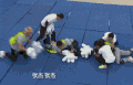 搞笑 黄子韬 真人秀 帅气
