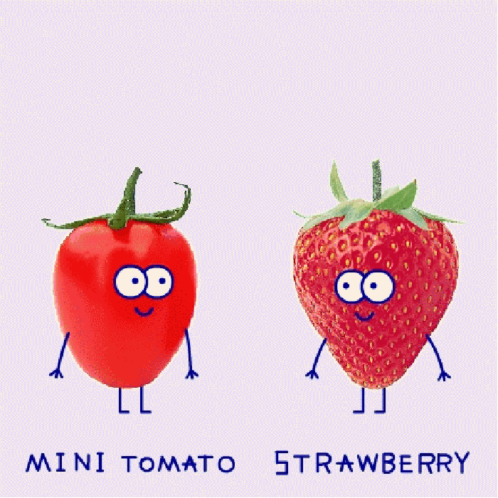 西红柿 双胞胎 草莓 光溜溜