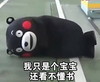 学习我爱学习 熊本熊 道路 我只是个宝宝还看不懂书
