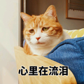 心在流泪 猫咪 沙发 难过