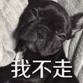 不走 狗