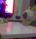 搞笑 逗比 电视 桌子
