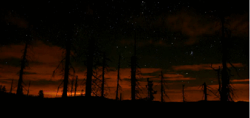 星空 瞬息万变 神话的森林 纪录片 风景