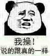 我操！说的跟真的一样    太假了    闭嘴   熊猫