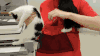 动物 猫咪 袋鼠 衣服兜