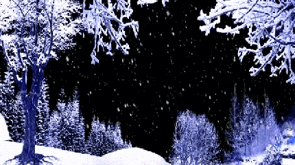 下雪 大树 雪花 雪地