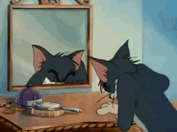 汤姆和小杰 动漫 童年 照镜子