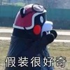 熊本熊 假装很好奇 可爱 萌萌哒 搞笑