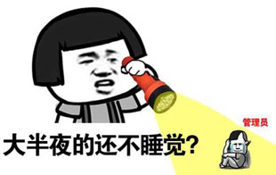 张学友 蘑菇头 手电 大半夜的还不睡觉