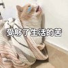 萌宠 喵星人 受够了生活的苦 我太难了 委屈 难受