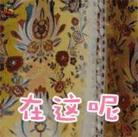 龙珠传奇 舒畅 舒婉心 在这呢 撩人 soogif soogif出品