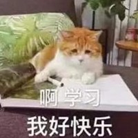 萌宠 喵星人 我爱学习 我好快乐 憨憨 搞怪