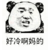 好冷啊妈的 金馆长 逗比 熊猫人